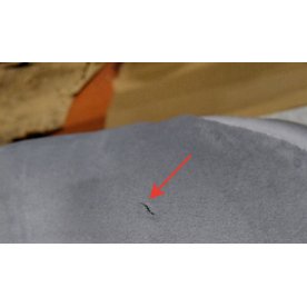 Компьютерное кресло Честер