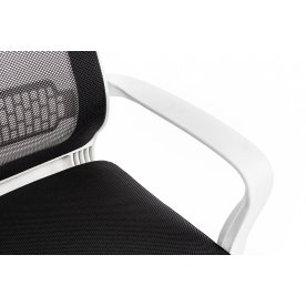 Компьютерное кресло Lion