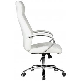 Компьютерное кресло Benjamin