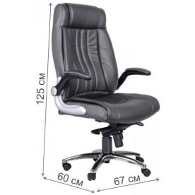 Компьютерное кресло Пегас 1