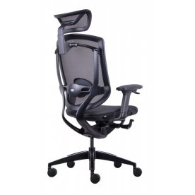 Компьютерное кресло Marrit X