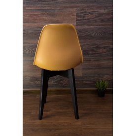 Пластиковый стул Сашш