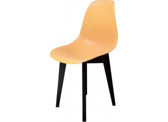 Пластиковый стул Сашш
