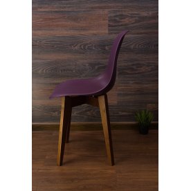 Пластиковый стул Сашш