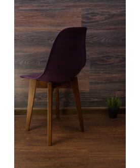 Пластиковый стул Сашш