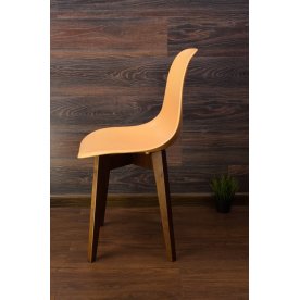 Пластиковый стул Сашш