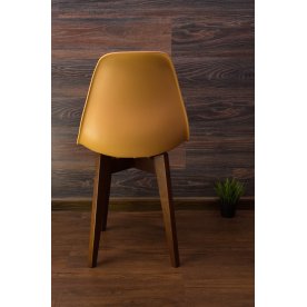 Пластиковый стул Сашш