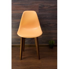 Пластиковый стул Сашш