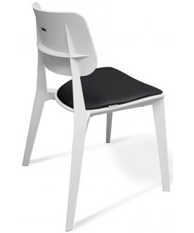 Пластиковый стул SHT-S110-CN1