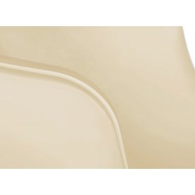 Пластиковый стул SHT-ST31/S64