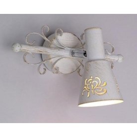 Спот Дункан CL529512