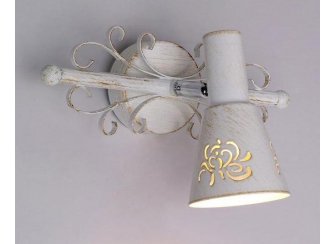 Спот Дункан CL529512