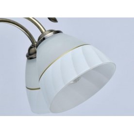 Потолочная люстра Блеск 315013608