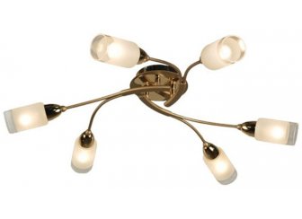 Потолочная люстра Citilux Монтана CL117162