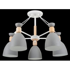 Потолочная люстра Delia FR5033CL-05W