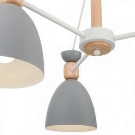 Потолочная люстра Delia FR5033CL-05W