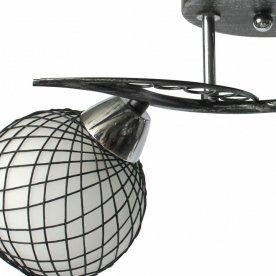 Потолочная люстра Isabella TL7450X-02BP