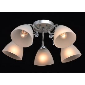 Потолочная люстра Нежность 676013005