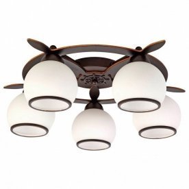 Потолочная люстра OML-50507-05