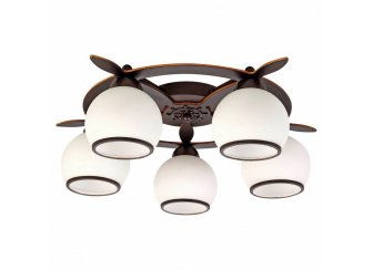 Потолочная люстра OML-50507-05