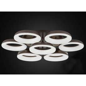 Потолочная люстра Паркер CL225195R