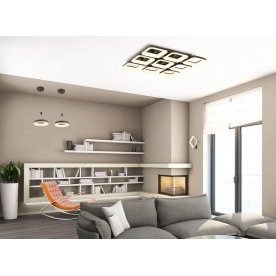 Потолочная люстра Паркер CL225295R