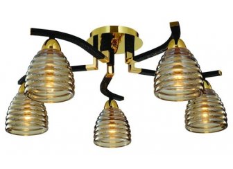 Потолочная люстра ST Luce SL325.202.05