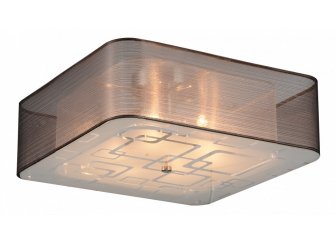 Потолочный светильник SL940.802.06