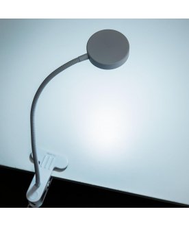 Настольная лампа Ньютон CL803070N