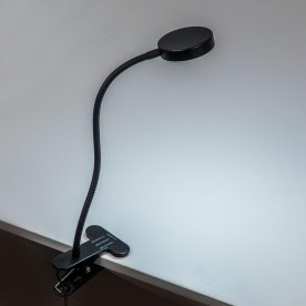 Настольная лампа Ньютон CL803071N