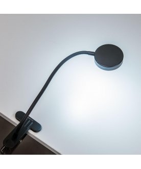 Настольная лампа Ньютон CL803071N