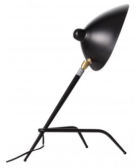 Настольная лампа Spruzzo SL305.404.01