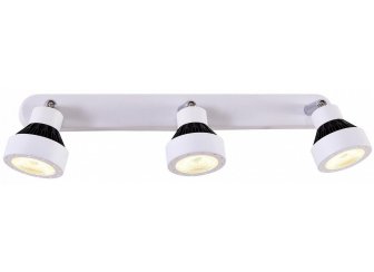 Спот Данди CL557531