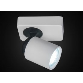 Спот Норман CL533510