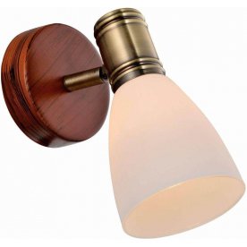Спот Sharyl TL3720Y-01BB