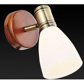 Спот Sharyl TL3720Y-01BB