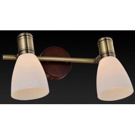 Спот Sharyl TL3720Y-02BB