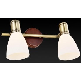 Спот Sharyl TL3720Y-02BB