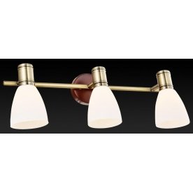 Спот Sharyl TL3720Y-03BB