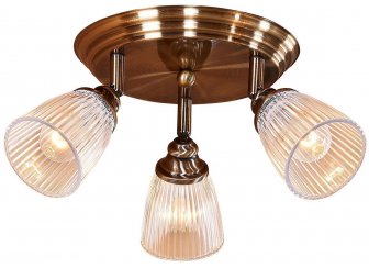 Спот Виндзор CL539631