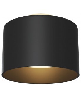 Накладной светильник Planet C009CW-L16B