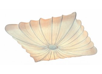 Накладной светильник Tela SL356.552.08