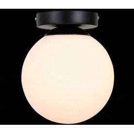 Настенно-потолочный светильник Acini SL717.401.01