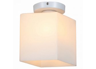 Настенно-потолочный светильник Aspetto SL548.501.01