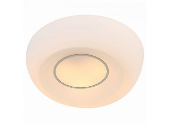 Настенно-потолочный светильник Botone SL467.502.03