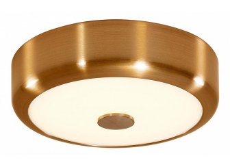 Настенно-потолочный светильник Фостер-1 CL706112