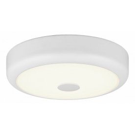 Настенно-потолочный светильник Фостер CL706120