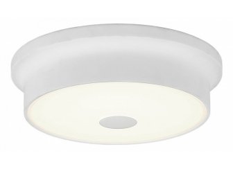 Настенно-потолочный светильник Фостер CL706210