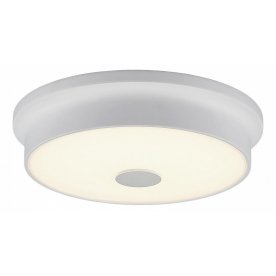 Настенно-потолочный светильник Фостер CL706220