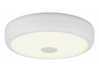 Настенно-потолочный светильник Фостер CL706320